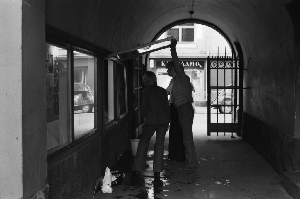 Yrjönkatu 27. Vitriinin ikkunanpesijöitä Amos Andersonin taidemuseon porttikäytävässä Mercatorin käytävän Yrjönkadun puoleisessa päässä.