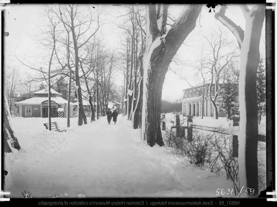 Weizenbergi tänav, vaade Kadriorust linna suunas.