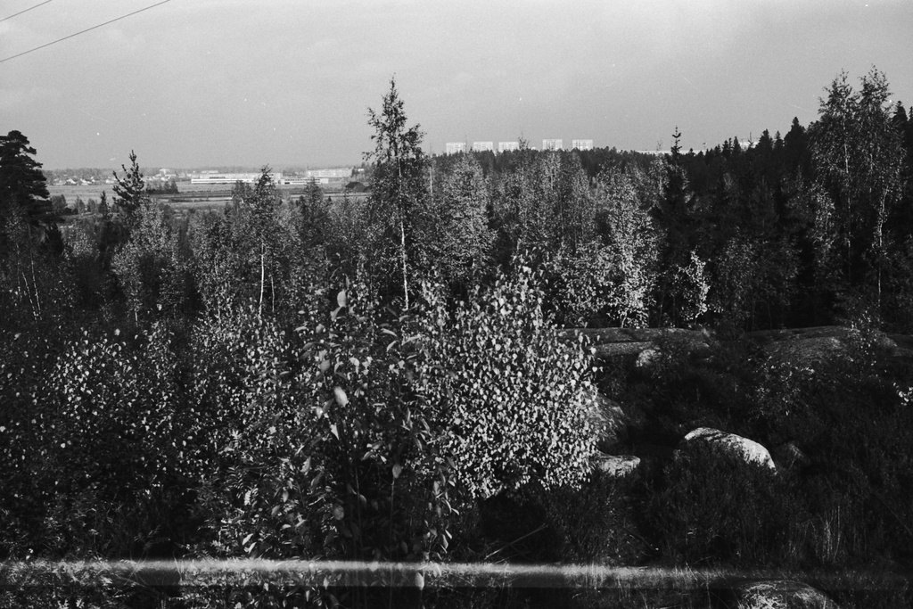 Näkymä Pirunkalliolta pohjoiseen Oulunkylän Veräjämäessä. Metsänreunassa Pihlajamäen korkeita kerrostaloja.