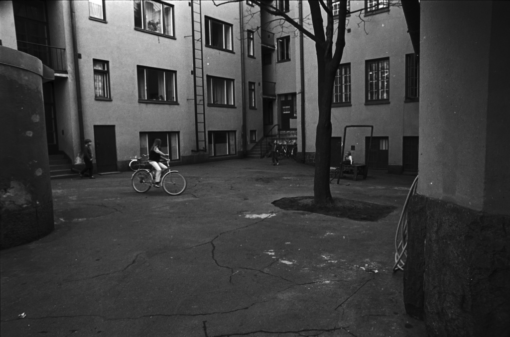 Castréninkatu 18. Alppikatu 19. Lapsia ja yksinäinen vaahtera Castréninkatu 18:n ja Alppikatu 19:n yhteisellä pihalla Kalliossa.