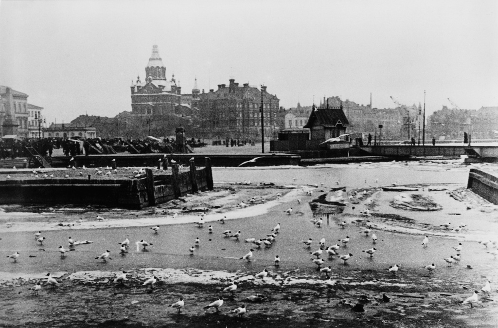 Naurulokkeja Eteläsatamassa. Oikealla kääntösilta Pohjoisen laiturihaaran ja Keisarinluodon laiturin välillä, taustalla Uspenskin katedraali ja Norrménin talo (valmistui 1897, purettiin 1960) Katajanokalla.