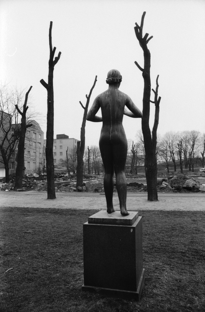 Kaisaniemenpuisto. Syksyistä Kaisaniemenpuistoa. Näkymä länteen Helsingin rautatieaseman suuntaan. Etualalla kuvanveistäjä Viktor Janssonin veistos Convolvulus takaa päin kuvattuna. (Kuvaaja sijoittanut veistoksen kahden lehdettömän puun väliin.) Keskellä myllerretty maata vesialtaan ympärillä.