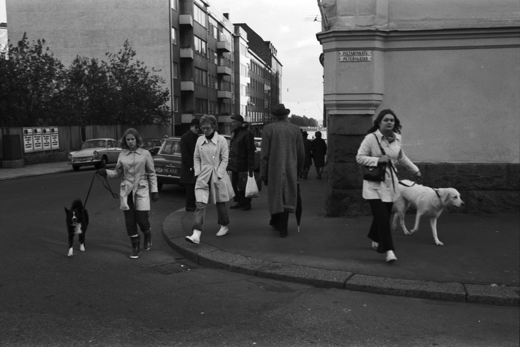 Pietarinkatu 8. Koiran ulkoiluttajia ja muita ihmisiä Pietarinkadun ja Neitsytpolun kulmassa.