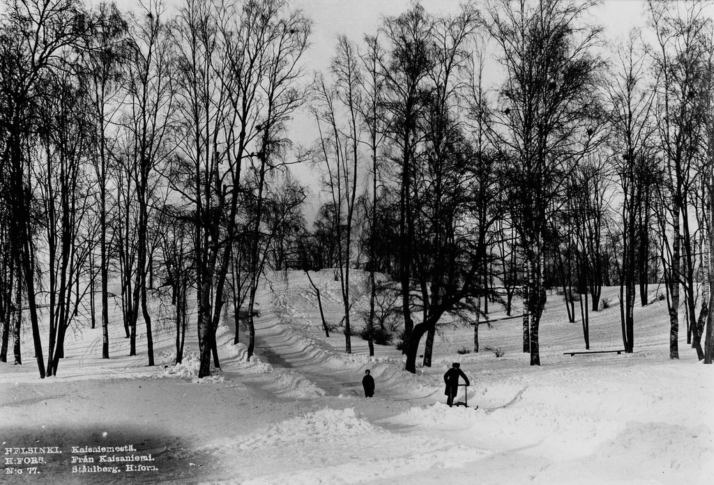 Kelkkamäki Kaisaniemessä.