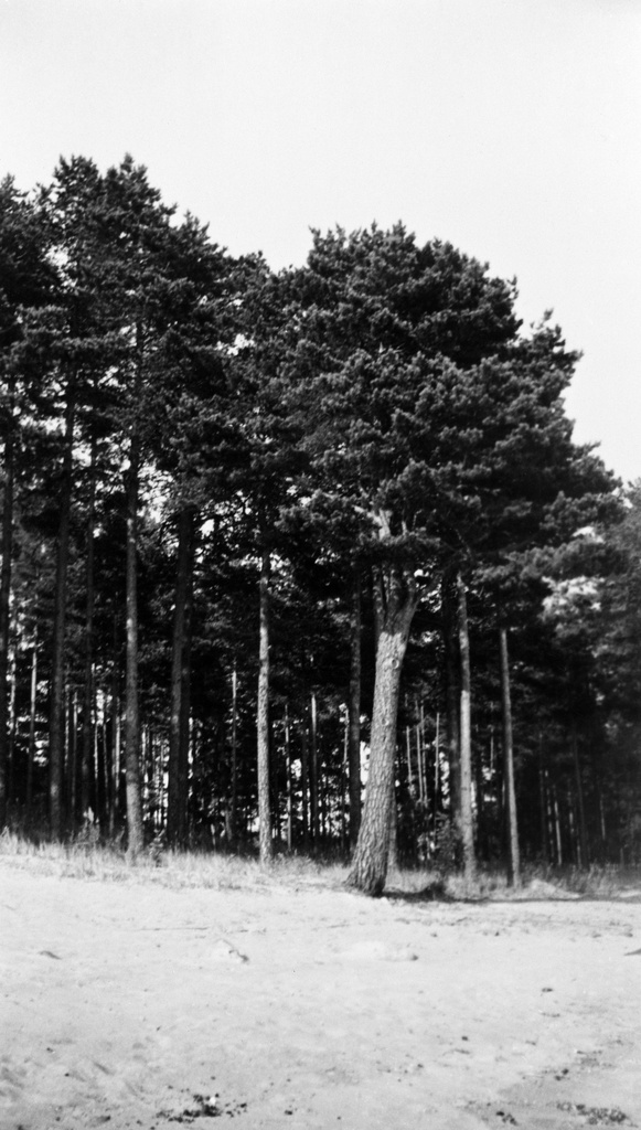 Vuosaari. Rakennusmestari Malmin huvilan Männikön rantaa. Vuonna 1923 valmistunut huvila purettiin vuonna 2002. Sen paikalla sijaitsee nykyisin Vuosaaren taiteilijatalo (Juhannusruusunkuja 3).
