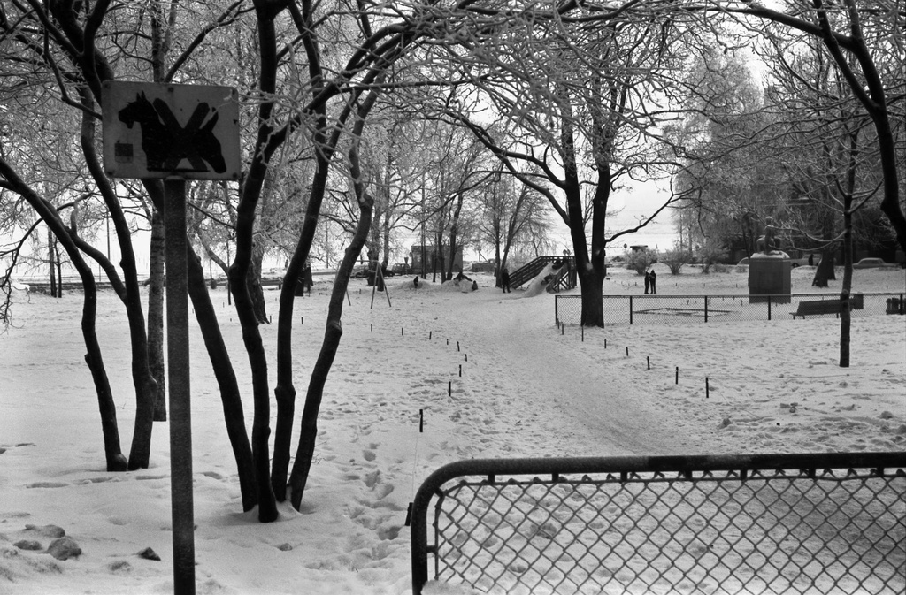 Liisanpuistikko. Talvinen, huurteinen Liisanpuistikko, vasemmalla koirilta kielletty -merkki. Näkymä Liisankadun ja Maurinkadun kulmasta Pohjoisrantaan päin.
