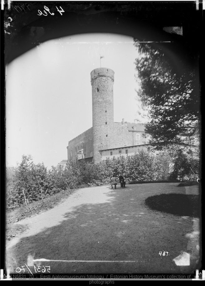 Pikk Hermann