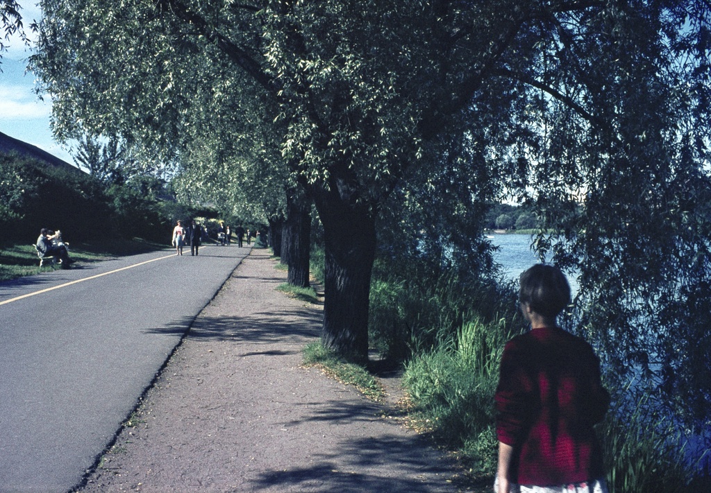 Töölönlahden rantaa.