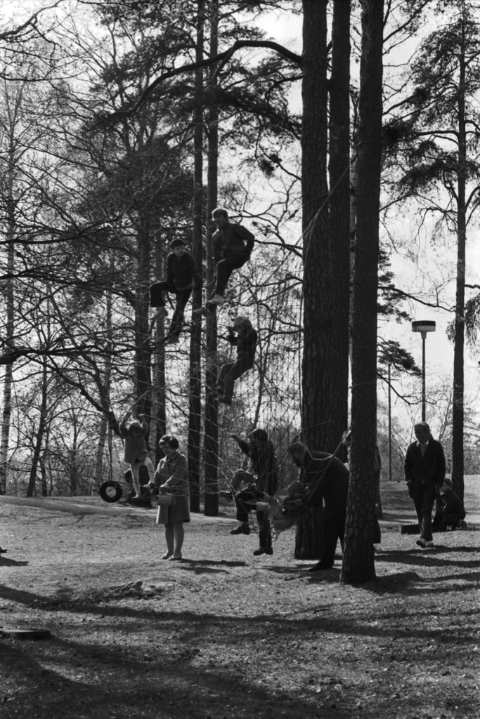 Sibeliuksen puisto. Helsingin juhlaviikot. Lapsia kiipeilemässä puihin pingotetussa verkossa Sibeliuksen puistossa järjestetyssä puistotapahtumassa.