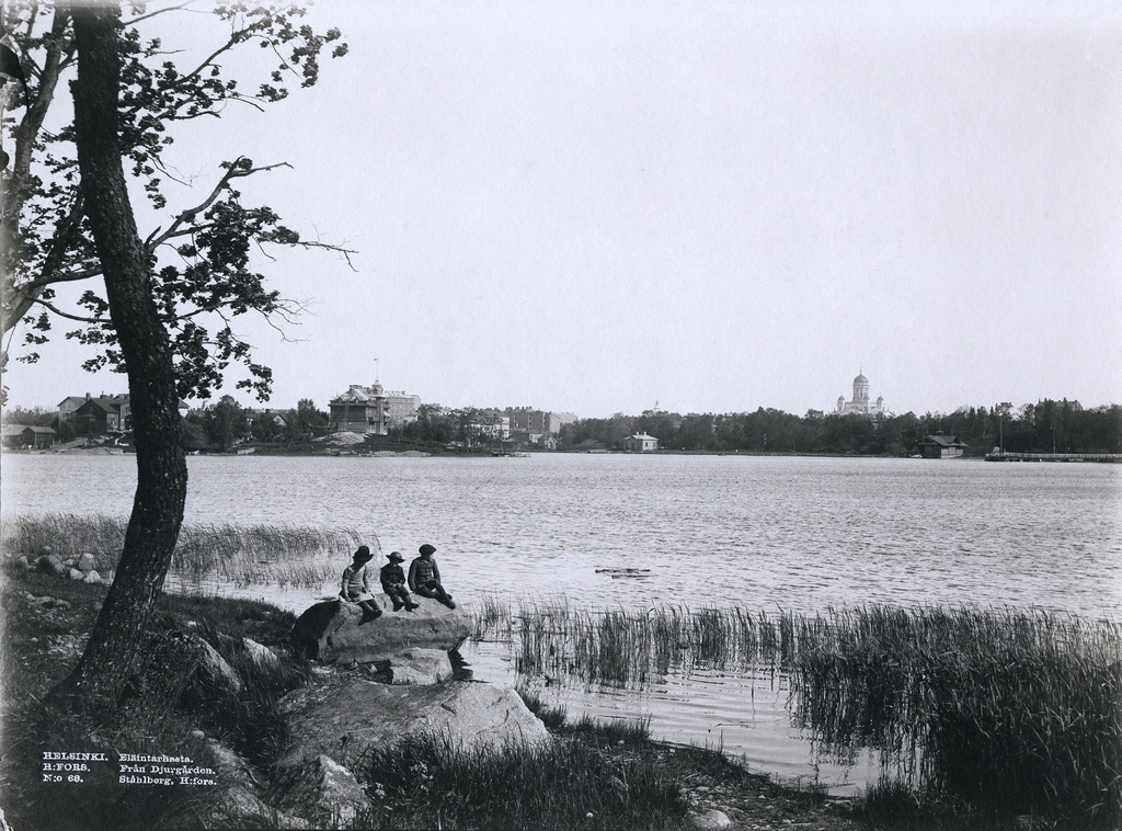 Eläintarhanlahti.; repronegatiivi, pohjustettu vedos, filmi, paperi pahvi, mv