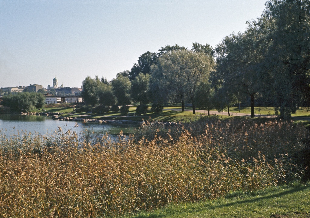 Hesperian puisto, Töölönlahden rantaa. Horisontissa vasemmalla Tuomiokirkon torni sekä Töölön ratapihaa.