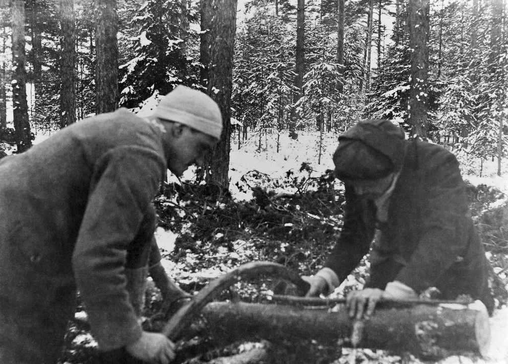 Puita sahataan huvila Åsan lähistöllä Kallvikissa.