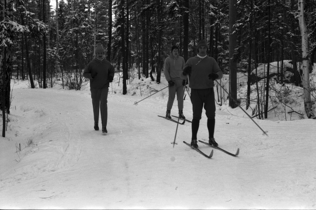 Pirkkolan urheilupuisto. Ihmisiä ulkoilemassa hiihtäen ja juosten talvisessa Pirkkolan urheilupuistossa.