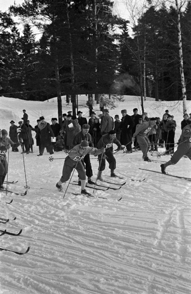 Hiihtäjiä, hiihtokilpailut Ruskeasuon liikuntapuistossa / Keskuspuistossa.