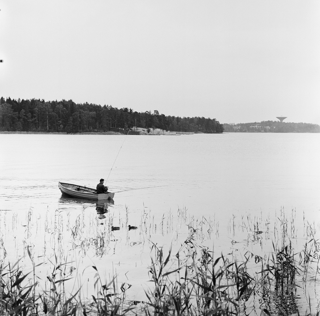 Kalastaja Saunalahdella.  Taustalla vasemmalla Seurasaari ja oikealla Lauttasaari.