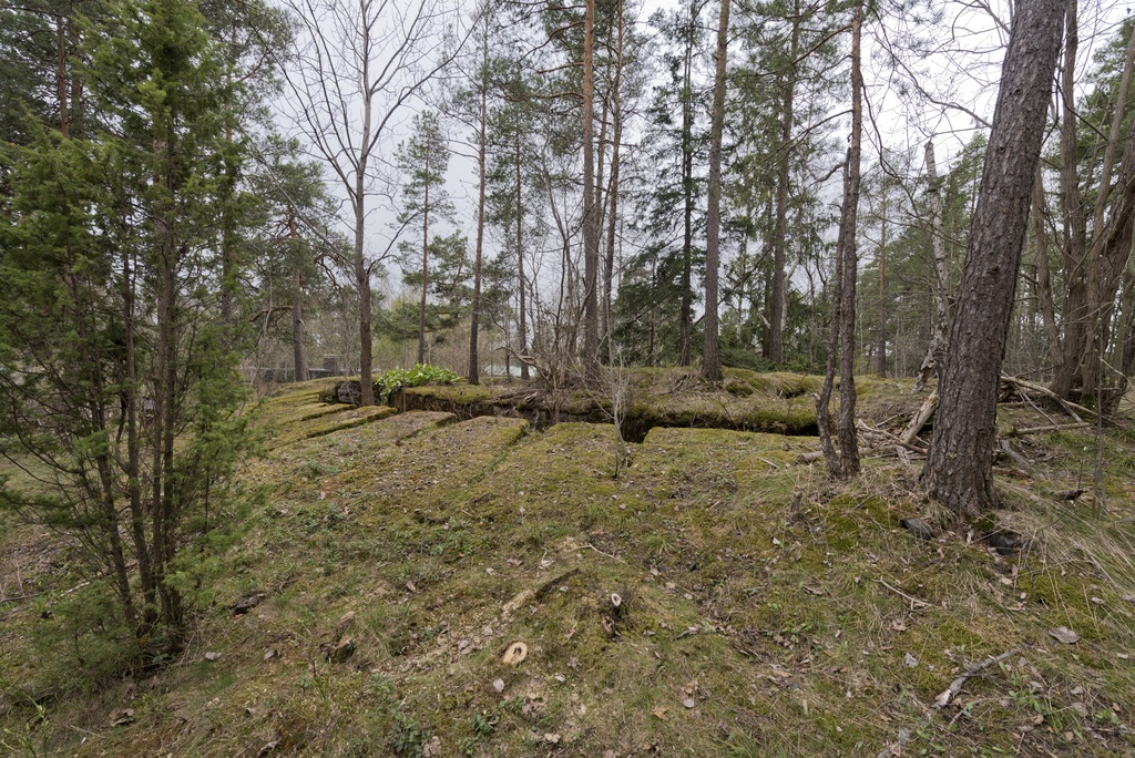 Ruukinranta. Ensimmäisen maailmansodan aikainen maalinnoitus, puolustusasema XXXVI:2 Ruukinrannassa, Espoossa. Kuvassa on aseman eteläosassa sijaitseva kaareva, kallioon louhittu kivääriasema, jossa on ampuma-aukkoja yhdeksälle kiväärimiehelle. Seiniä on tuettu betonilla. Matalat ampuma-aukot lähtevät säteittäin hautamaisesta asemasta. Rakenteen päällä kasvaa sammalta. Haudan takareunalle on istutettu vuorenkilpeä. Pohjalla on vesakkoa. Asema sijaitsee yksityisen omakotitalon pihamaalla. Kuvaussuuntana länsi.