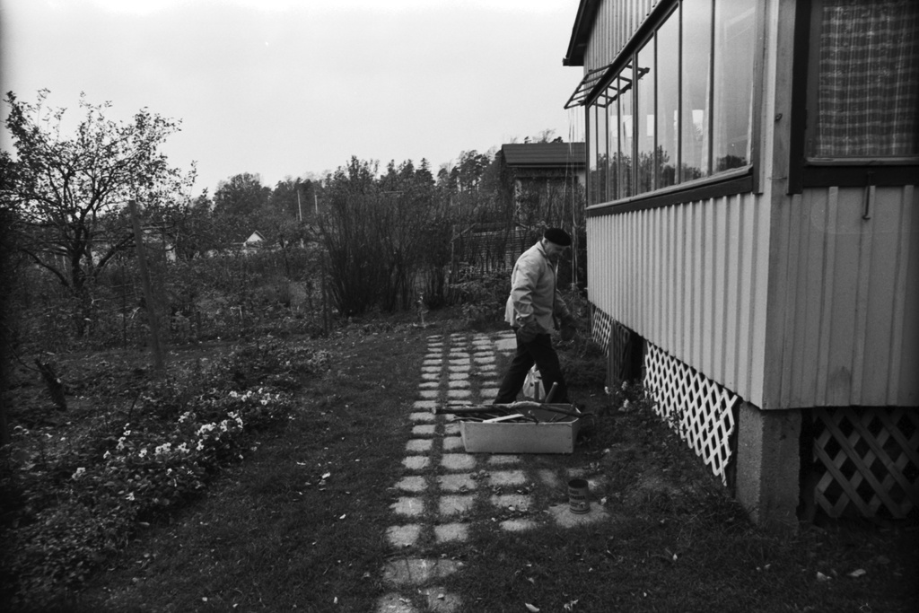 Vartiokylä, Itäkeskus. Mies syystöissä Marjaniemen siirtolapuutarhassa.