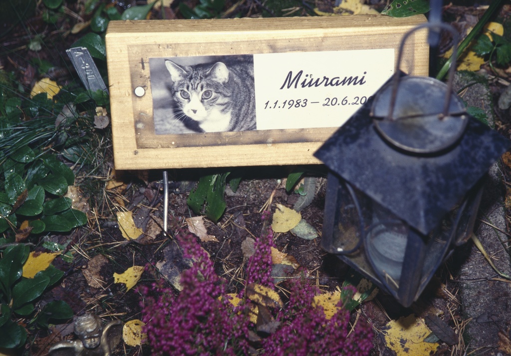 Syksyinen Eläinten hautausmaa. Miirami-kissan hauta.