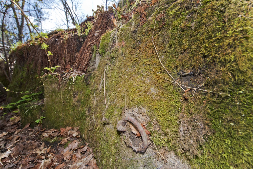 Haukilahti. Ensimmäisen maailmansodan aikainen maalinnoitus, puolustusasema XXXIV:13 Haukilahdessa, Espoossa. Kuvassa näkyy kallioon louhittua, betonilla tuettua taisteluhautaa. Etualalla on ampumakorokkeen alapuolelle kiinnitetty rautarengas. Renkaita kiinnitettiin säännöllisin välimatkoin ja niissä roikkui joko puuriukuja tai köysiä, jotka toimivat porrasaskelmina helpottamaan ampumakorokkeelle nousua. Renkaan vasemmalla puolella erottuvat varsinaiset portaat, jotka johtavat haudasta korokkeelle.