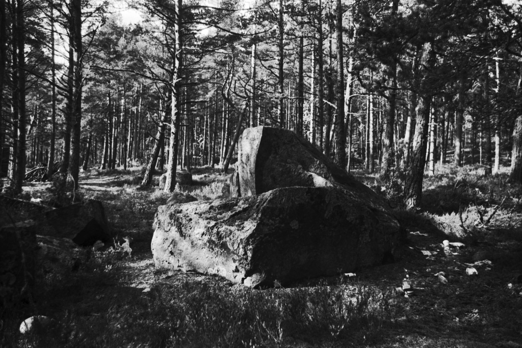 Kallahdenniemi. Iso kivi männikössä Kallahdenniemessä uimarannalle vievän tien varrella.