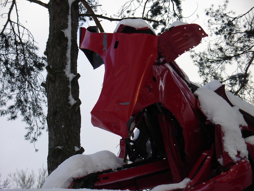 Vuosaari talvella. Miina Äkkijyrkän "Peltilehmät" Uutelassa Skatan tilalla. Lähikuva peltilehmän päästä.