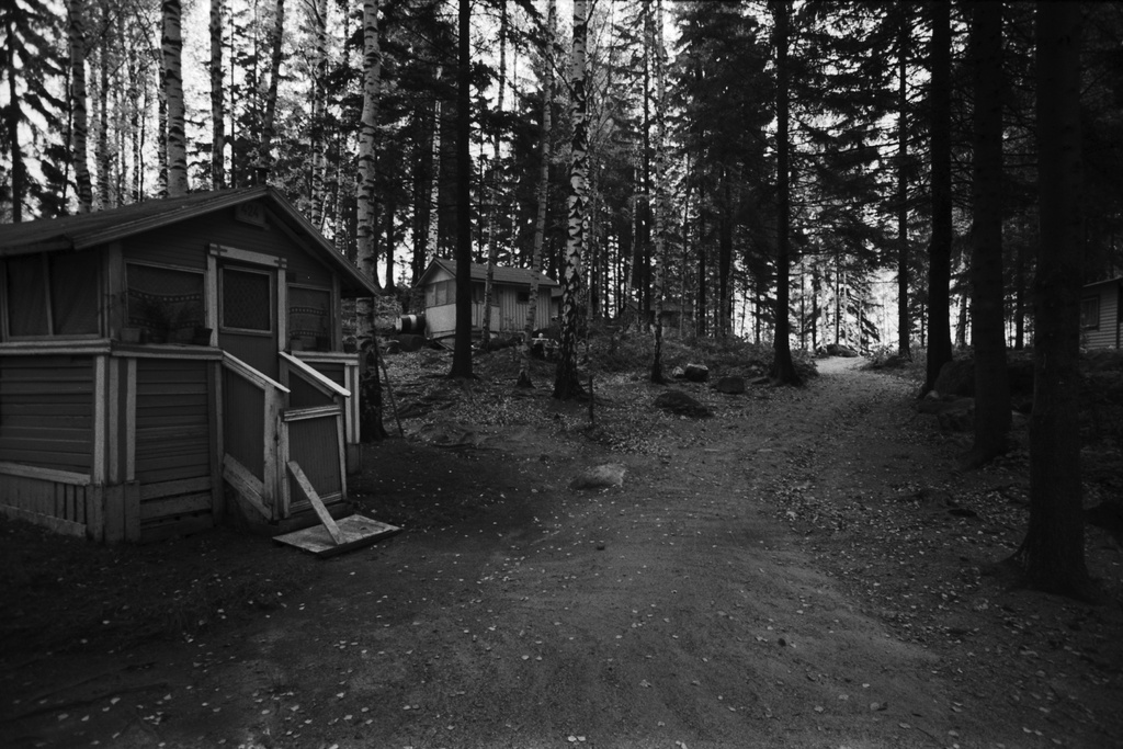 Kulosaari. Näkymä syksyiseltä Kivinokan kesämaja-alueelta. Rinteessä puiden lomassa pieniä mökkejä.