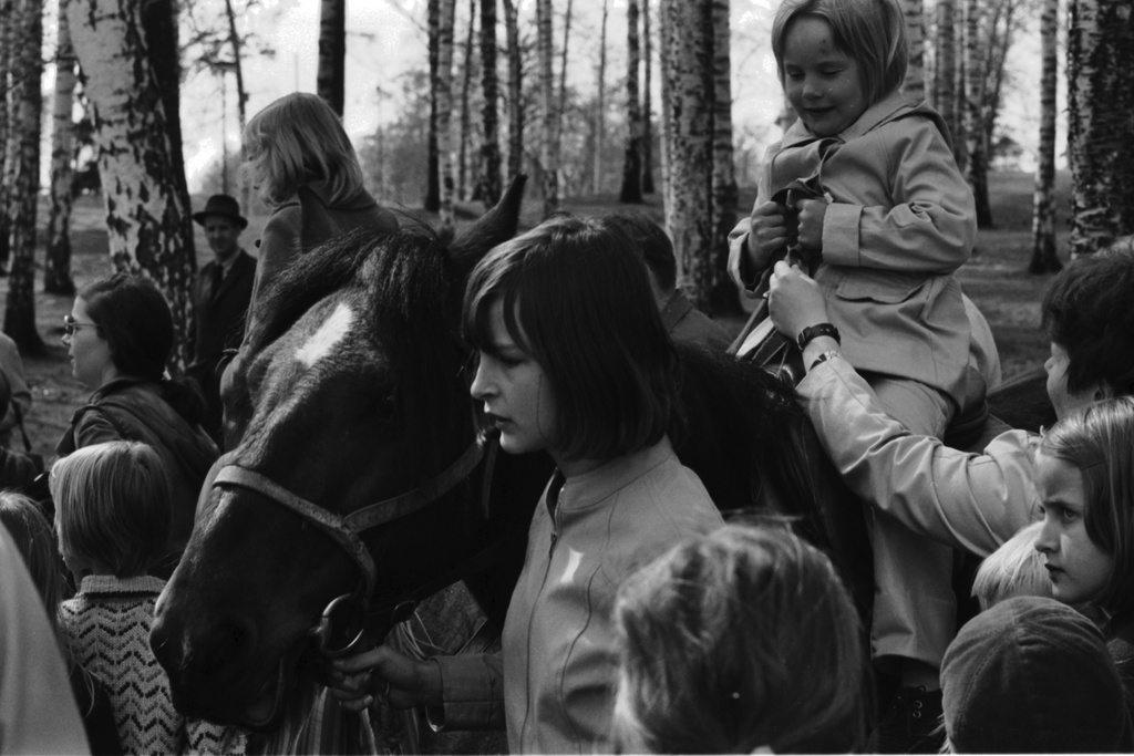 Sibeliuksen puisto. Helsingin juhlaviikot. Poniratsastusta puistotapahtumassa keväisessä Sibeliuksen puistossa. Tyttö päässyt ponin selkään, talutettu ratsastuskierros voi alkaa.