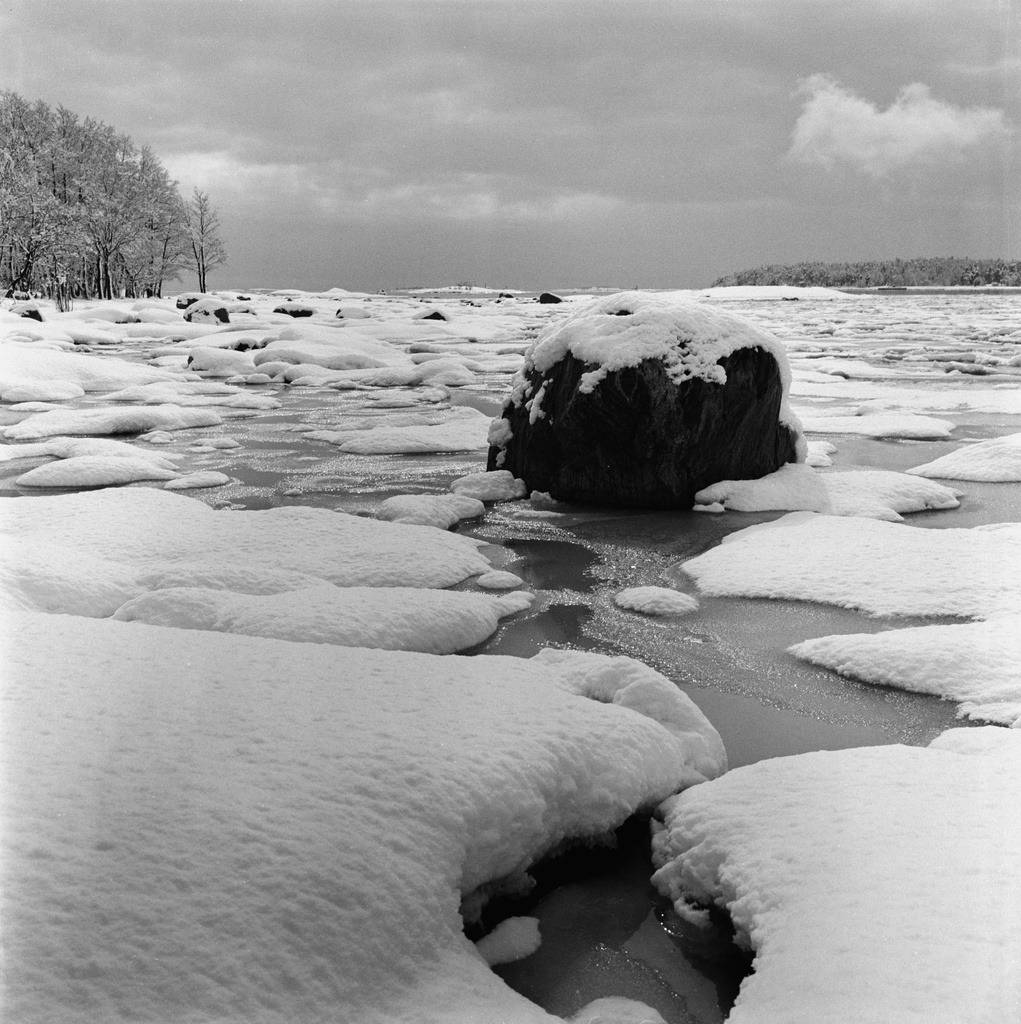 Lauttasaari, Vattuniemen rantaa Itälahdessa jäiden lähdön aikaan