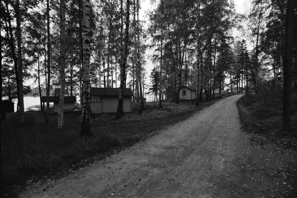 Kulosaari. Näkymä syksyiseltä Kivinokan kesämaja-alueelta lounaisrannan puoleiselta hiekkatieltä.