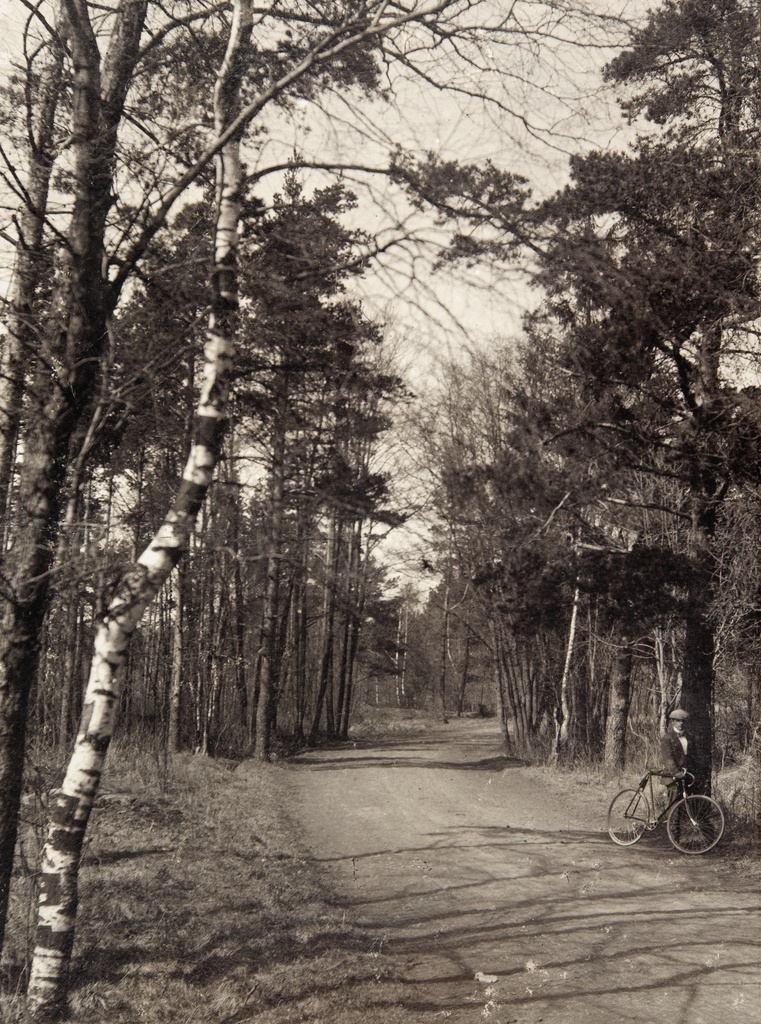 Tie Eläintarhassa, rautatien länsipuolella. Oikeassa reunassa mies polkupyörän kanssa. Näkymä on suunnilleen samasta kohdasta kuin kuvassa G30236.