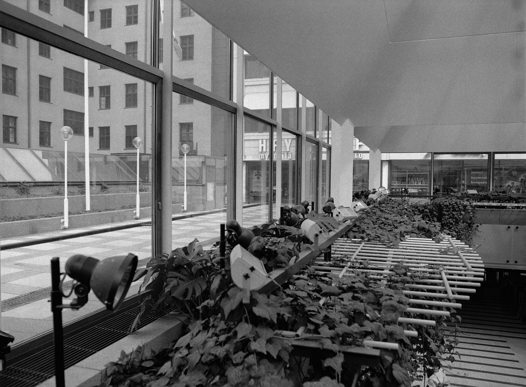 Forumin kauppakeskus.  Koristekasveja kolmannessa kerroksessa.