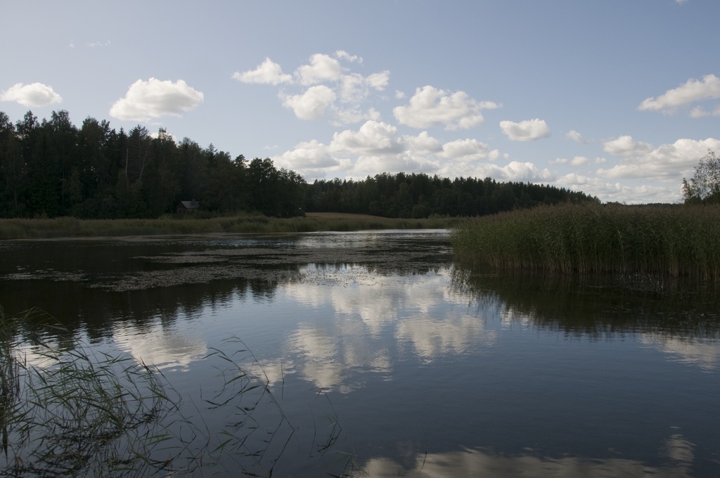 Salmenkallio. Porvarinlahti nähtynä laiturilta Vikkullantien varrelta.
