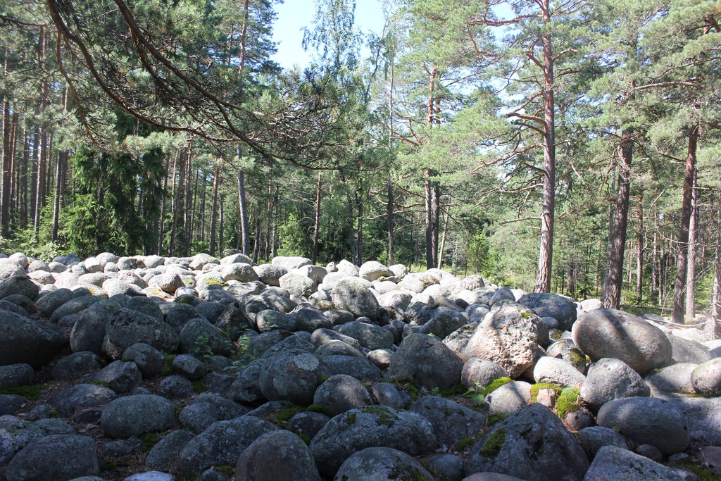 Jääkautinen kivikasa Rastilan leirintäalueen läheisyydessä.