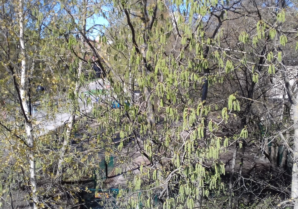 Työmiehenkatu 2 - Lastenkodinkatu 9. Yleisnäkymä Ruoholahdenkatu 21:sta. Vas. satamarata ja Marian sairaalan rakennuksia. rephoto