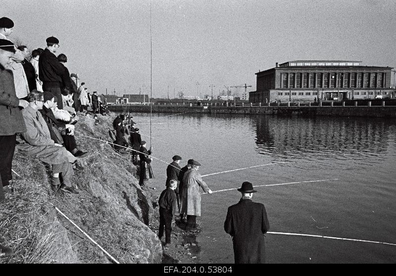 View on the shore of Emajõe in Tartu.