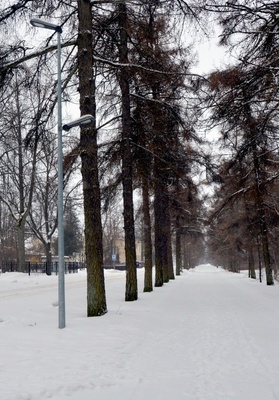 View Supluse puiestee in Pärnu. rephoto