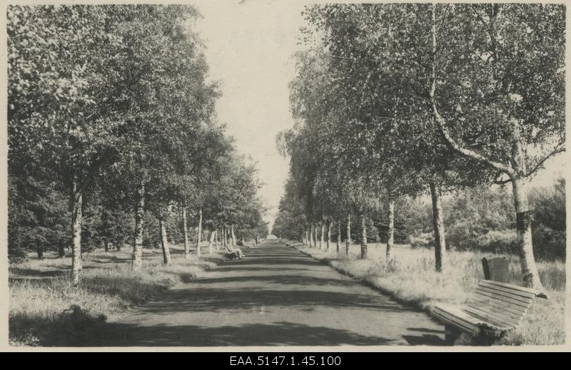 Beach road