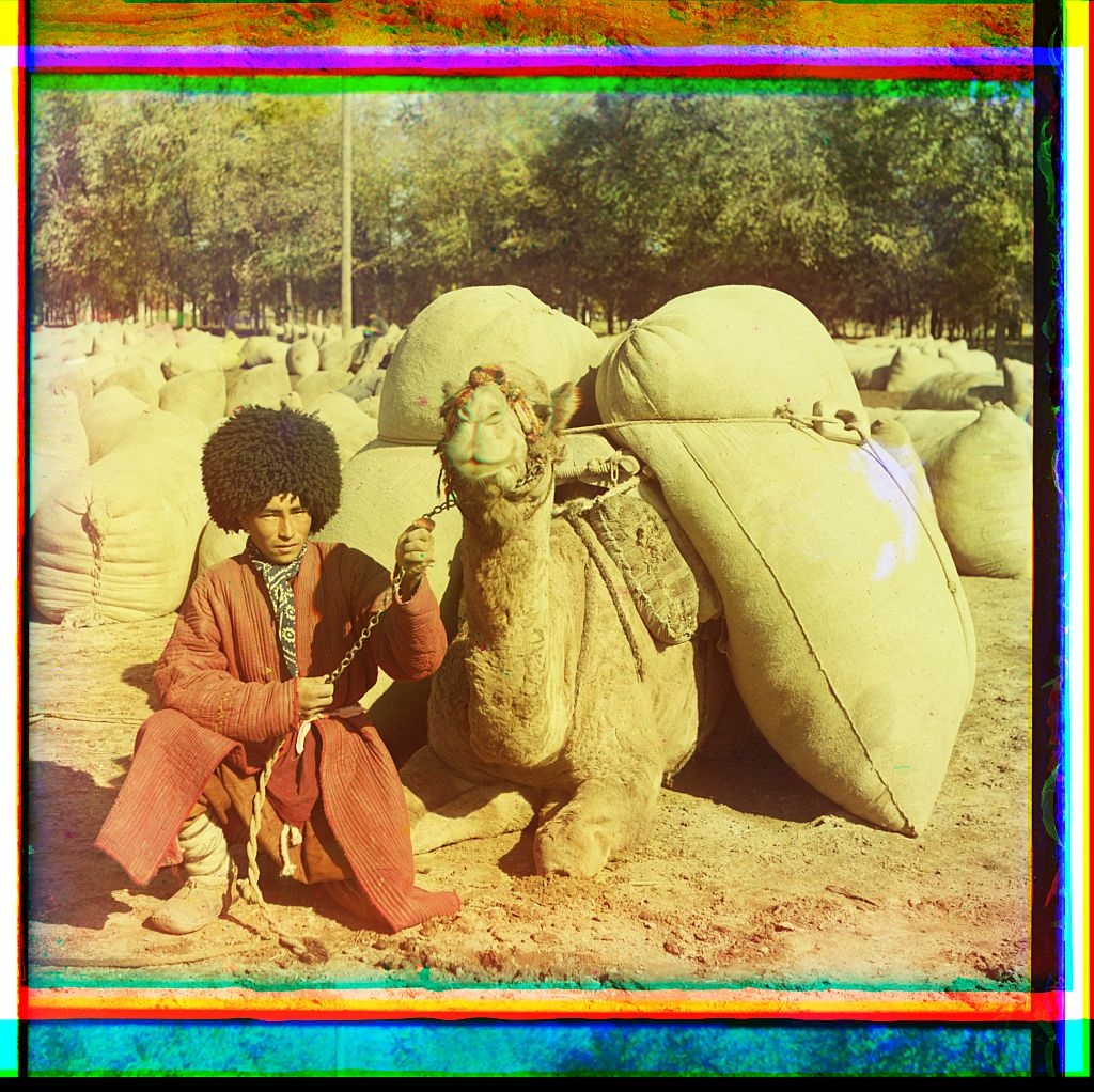[man with camel loaded with packs] (Loc)
