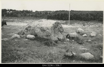 View of the sacrifice stone named Lauritsakivi and Kuusalus  duplicate photo