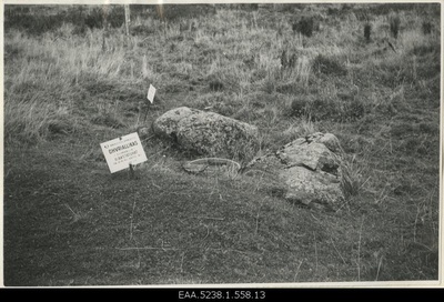 Silmaallikas-named victim source and victim stones in Kuusalus  duplicate photo