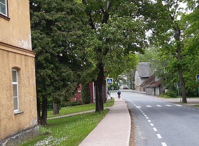 Vaade Palamuse apteegile ja veskile rephoto
