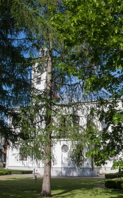 Viljandi rephoto