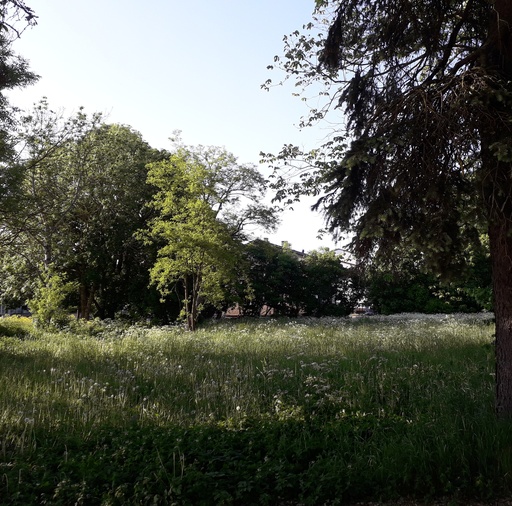 Mihkel Trei koduväravas Kuressaares rephoto