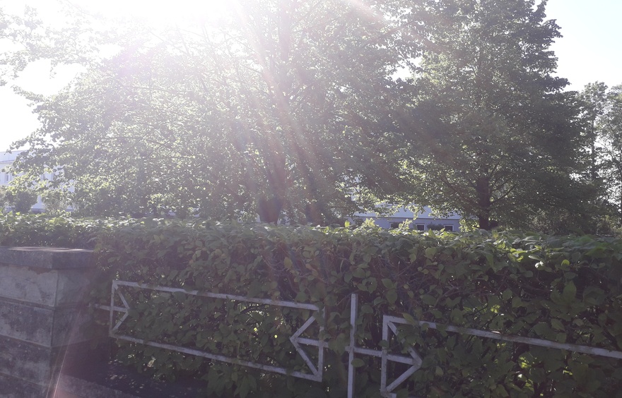 Haigla Kuressaares, fassaadivaade. Arhitekt Edgar Kuusik, j/e Peep Jänes, Ilmar Heinsoo rephoto