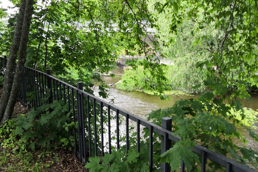 Vanhankaupunginkoski. Vanhankaupunginkosken itäinen haara Viikintien sillan suuntaan. rephoto