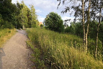 Paukkulanpuisto. Taustalla näkyy Kivijatatie 4:n rakennus. Puiston alueella on sijainnut puolustusvoimien rakentama Malmin ampumarata, joka valmistui vuonna 1937 Helsingissä järjestettyihin ammunnan MM-kisoihin, ja suljettiin vuonna 1993.  Puistossa on maisemallisesti arvokasta puustoa, jota tulee hoitaa elinvoimaisena, ja uudistaa siten että sen maisemallinen arvo säilyy. rephoto