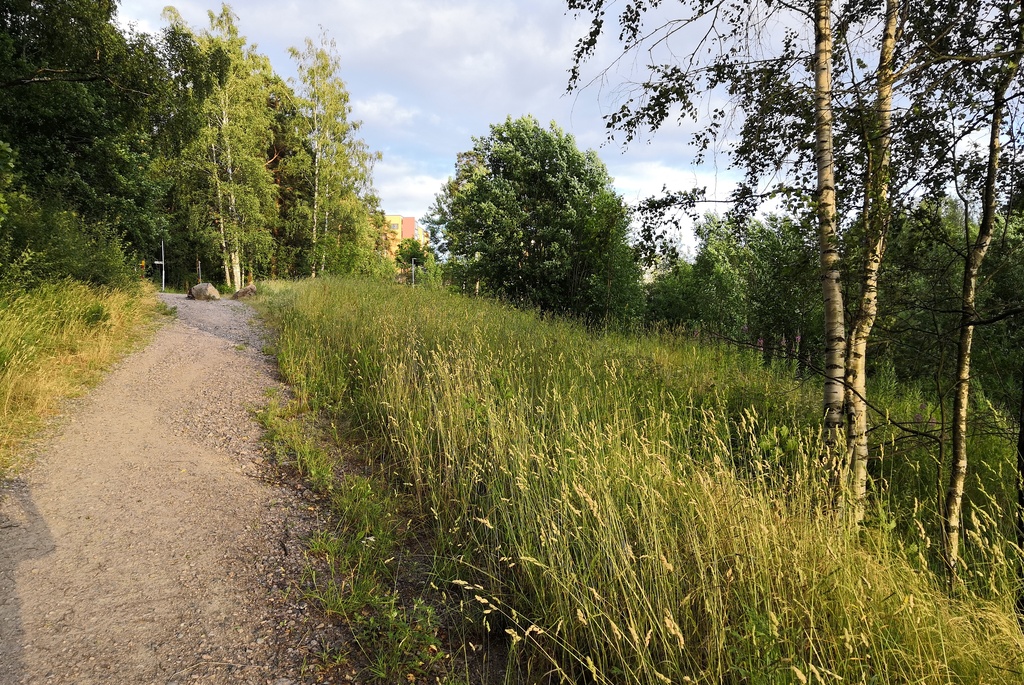 Paukkulanpuisto. Taustalla näkyy Kivijatatie 4:n rakennus. Puiston alueella on sijainnut puolustusvoimien rakentama Malmin ampumarata, joka valmistui vuonna 1937 Helsingissä järjestettyihin ammunnan MM-kisoihin, ja suljettiin vuonna 1993.  Puistossa on maisemallisesti arvokasta puustoa, jota tulee hoitaa elinvoimaisena, ja uudistaa siten että sen maisemallinen arvo säilyy. rephoto