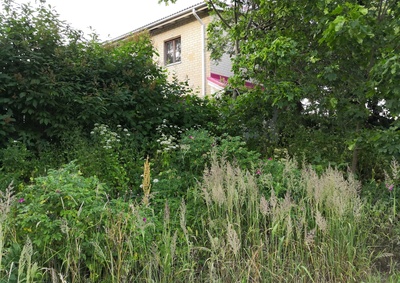 Leipomo Malmilla.; repronegatiivi, filmi paperi, mv rephoto