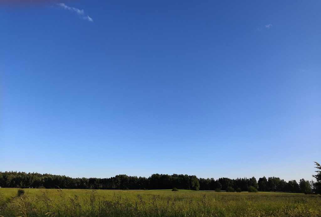 Ilmalaiva Graf Zeppelin Helsingin yllä. Kutsuvieraat odottavat aluksen laskeutumista maahan Viikin Latokartanon pellolla, kovan tuulen vuoksi alus kuitenkin pystyi vain jättämään postisäkit laskeutumatta maahan saakka. rephoto