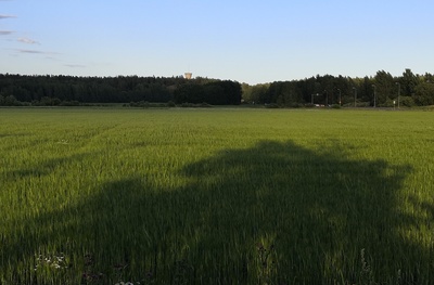 Näkymä Viikin Latokartanon pellolta kaakkoon. Oikealla Viikintie ja Herttonemen satamarata. Taustalla Myllypuron vesitorni. rephoto